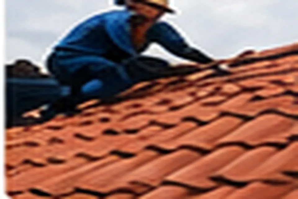Inspection professionnelle d'une toiture